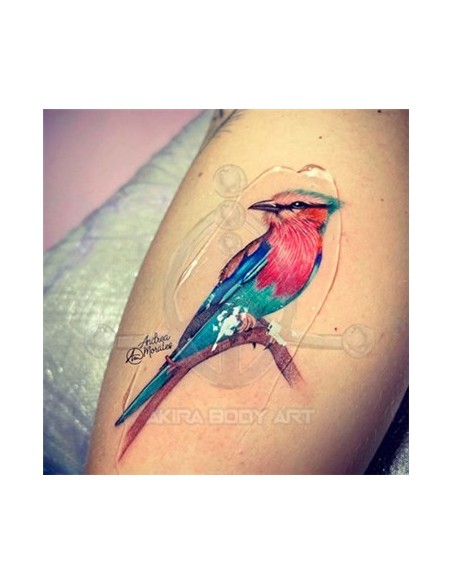 Photo Finish de 200ml en gel. Photo Finish de 200ml en gel.