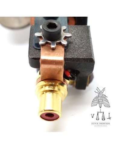 Conector RCA de FIVE MOTHS 1