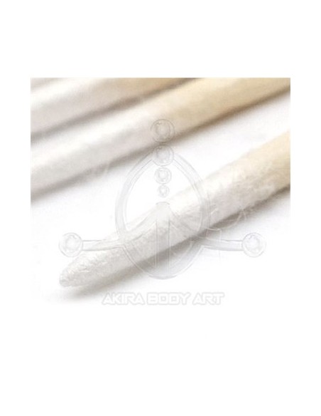 Corrector desechable ECO