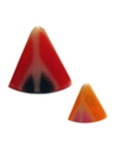 Pincho campaña