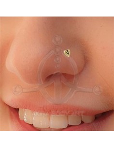 Nostril Étnico Corazón 2