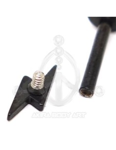 Labret Rayo (Rosca interna) 2