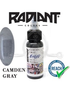 Radiant CAMDEN GRAY