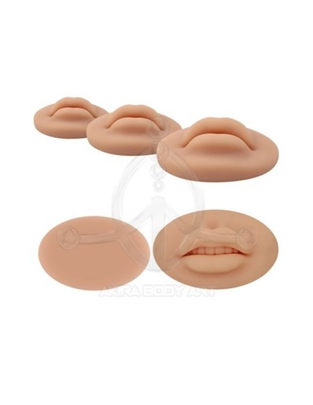Labio Silicona 3D para prácticas Labio Silicona 3D para prácticas