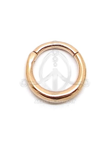 Aro segmentado - ORO ROSA