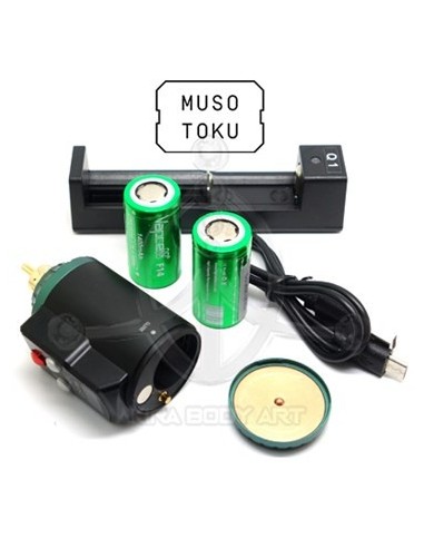 Batería inalámbrica ROVER R-1 (RCA)