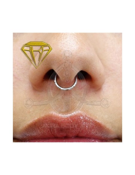 Aro segmentado 5 joyas