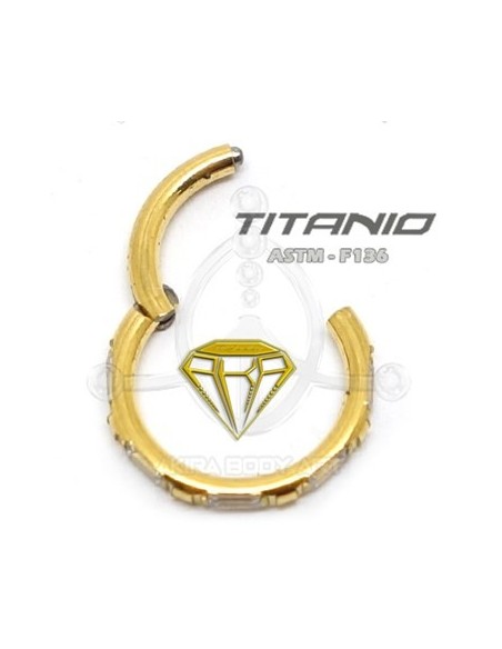 Aro segmentado 5 joyas - ORO