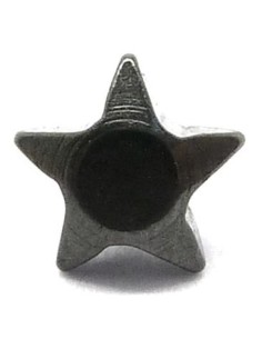 Repuesto microdermal estrella negra.