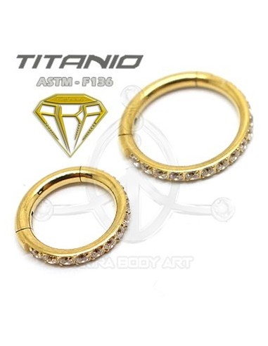 Aro segmentado joyas – ORO