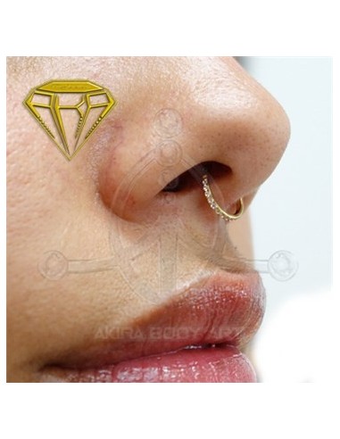 Aro segmentado joyas – ORO