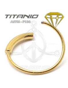 Aro Flexible Titanio Oro 2