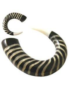 Dilatador hueso espiral cebra