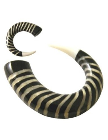 Dilatador hueso espiral cebra