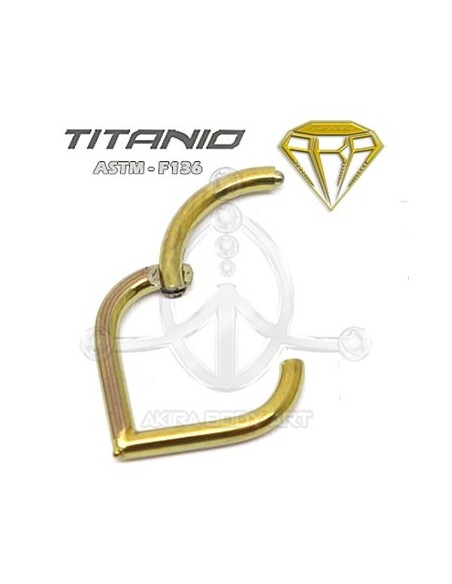 Aro Segmentado LAGRIMA Oro - Bisagra