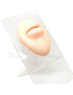 Expositor BOCA Silicona 2