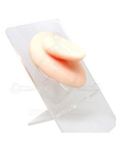 Expositor LENGUA Silicona 2