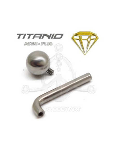 Barra Barbell Christina Titanio R. INTERNA Barra Barbell Christina Titanio R. INTERNA