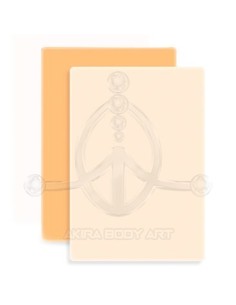 Piel de prácticas DNA4