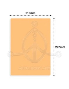 Piel de prácticas DNA4 2