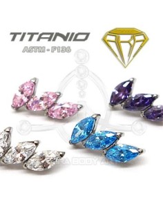 Labret pétalos joyas – Titanio Ros. Interna 2