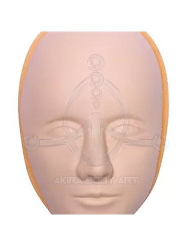 Piel Facial 3D prácticas