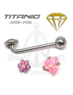Barbell Christina Titanio R. INTERNA