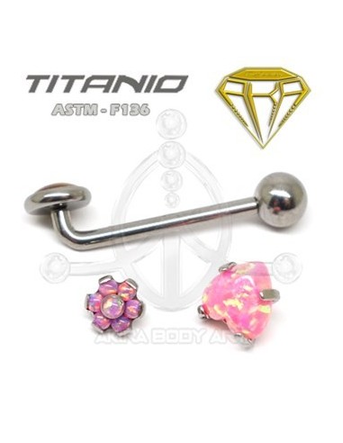 Barbell Christina Titanio R. INTERNA