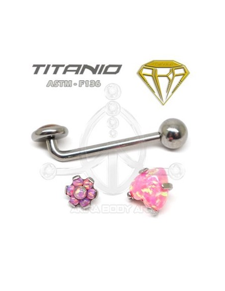 Barbell Christina Titanio R. INTERNA Barbell Christina Titanio R. INTERNA