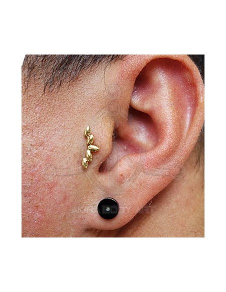 Repuesto Cinco Óvalos - ORO (PVD)