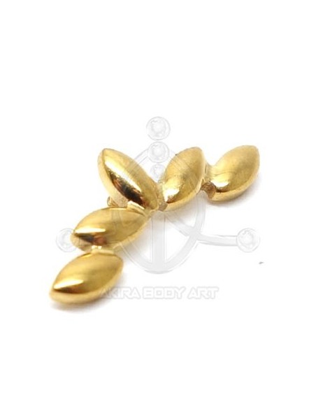 Repuesto Cinco Óvalos - ORO (PVD)