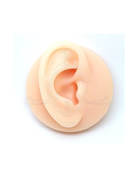 Expositor OREJA Silicona - Derecha