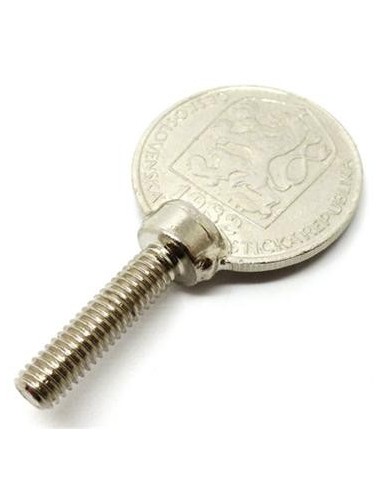 Tornillos moneda Alex Rodríguez