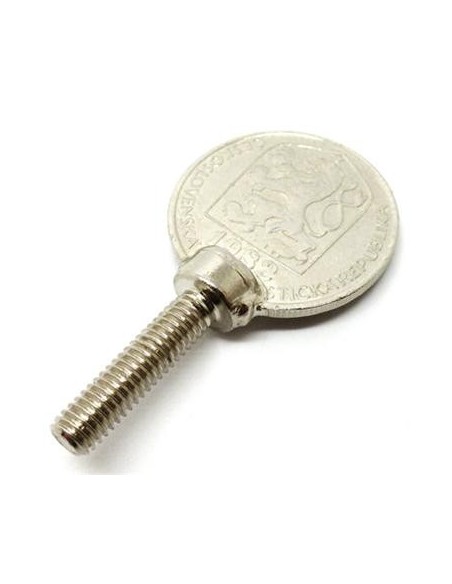 Tornillos moneda Alex Rodríguez Tornillos moneda Alex Rodríguez