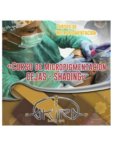 Curso de Micro - CEJAS-SHADING (MSH)