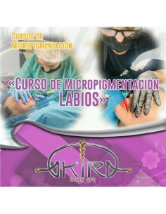 Curso de Micro - LABIOS (MLAB)