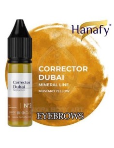 CORREC. N2 DUBAI - Prácticas (2)