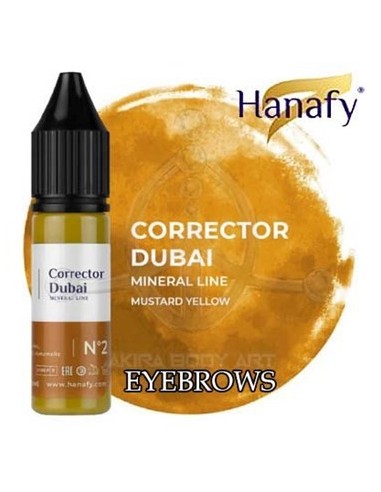 CORREC. N2 DUBAI - Prácticas (2)