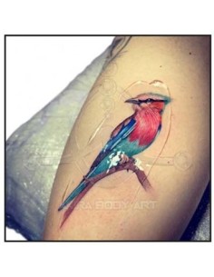 Gel TATTOOFILM de ALOE