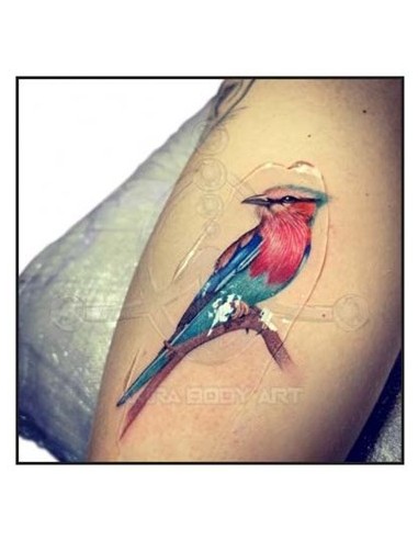 Gel TATTOOFILM de ALOE