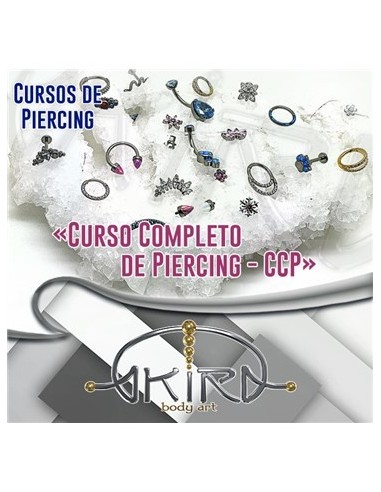 Curso COMPLETO de PIERCING (295 Horas)