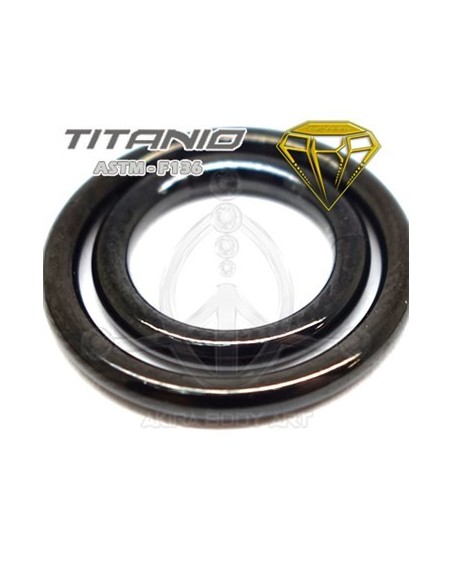 Aro Segmentado Bisagra NEGRO - TITANIO Aro Segmentado Bisagra NEGRO - TITANIO