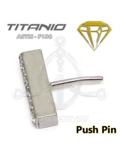 Repuesto PUSH PIN titanio - Barra Joyas