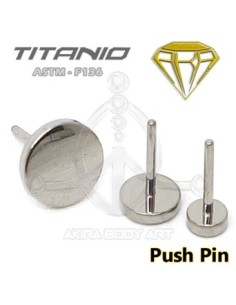 Repuesto Chapa - PUSH PIN 2