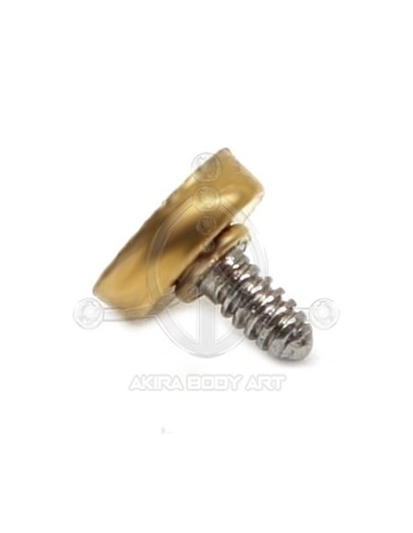 Repuesto MULTIJOYA - Acero oro (PVD)