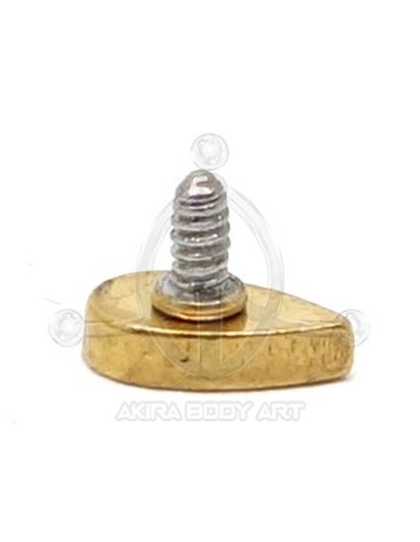 Labret Lágrima joyas (Rosca interna) - Oro (PVD)