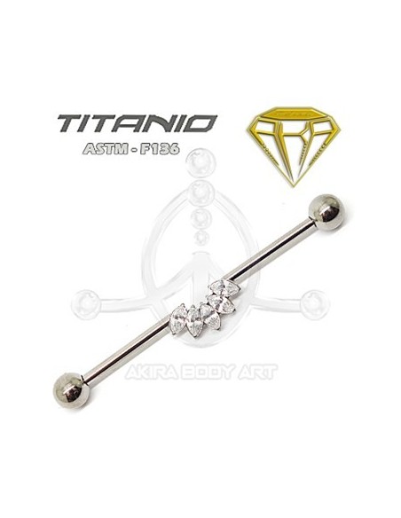 Barbel Industrial Corona Joyas