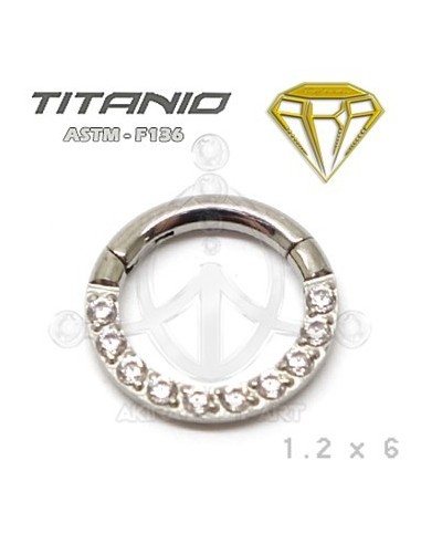 Aro segmentado joyas - Circonita