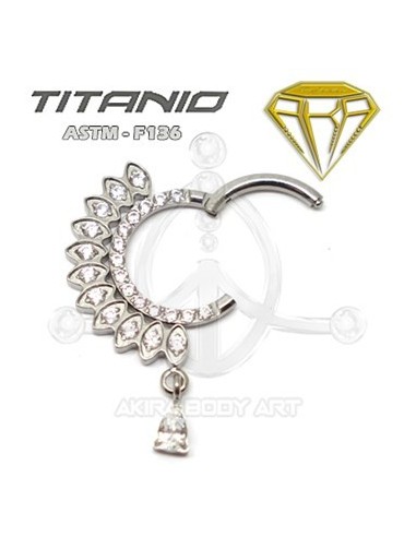 Aro segmentado petalos joya y colgante