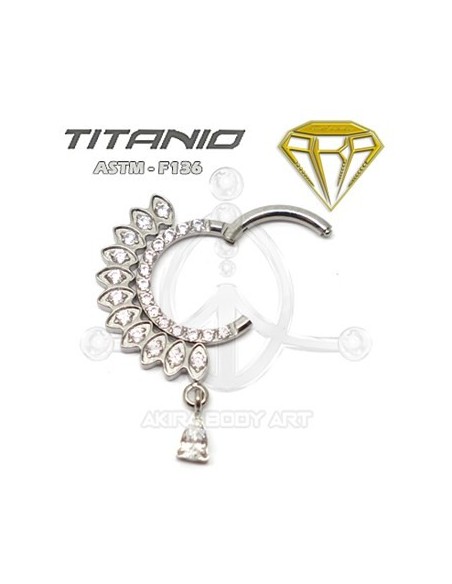 Aro segmentado petalos joya y colgante Aro segmentado petalos joya y colgante